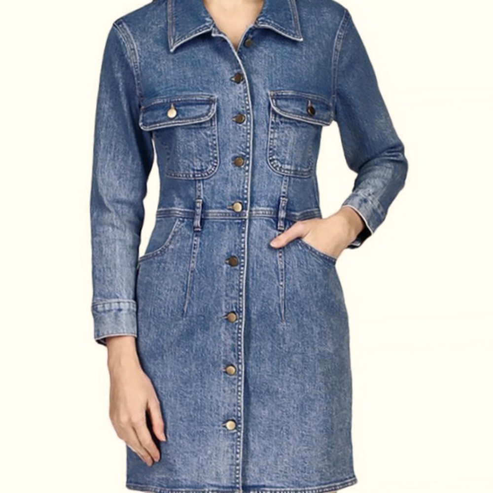 DL1961 Esme Button Front Denim Dress
